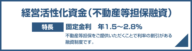 経営活性化資金（不動産等担保融資）