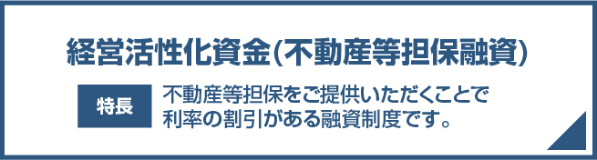経営活性化資金（不動産等担保融資）